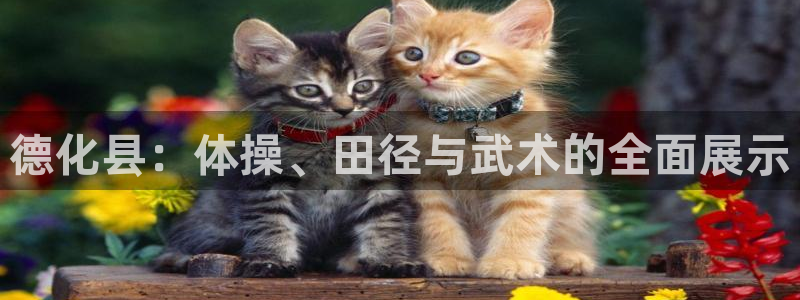 球王会体育：德化县：体操、田径与武术的全面展示