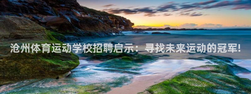 球王会体育：沧州体育运动学校招聘启示：寻找未来运动的冠军!