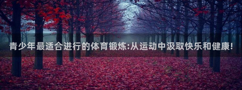 球王会体育：青少年最适合进行的体育锻炼:从运动中汲取快乐和健康!