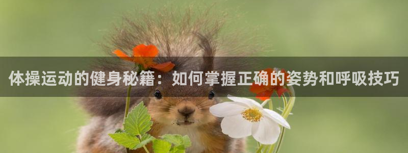 球王会体育：体操运动的健身秘籍：如何掌握正确的姿势和呼吸技巧