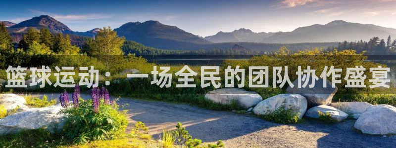球王会体育：篮球运动：一场全民的团队协作盛宴