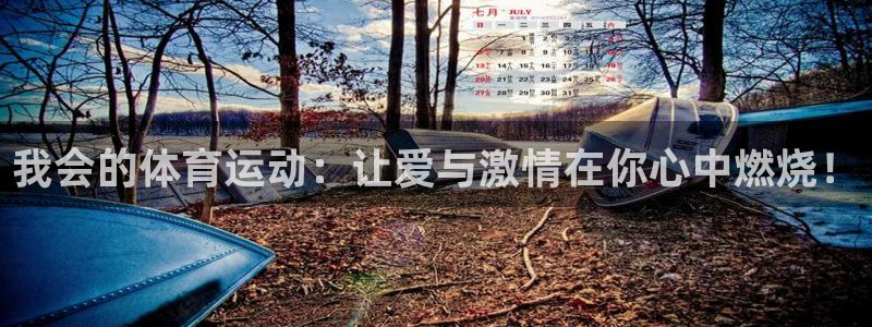 球王会体育：我会的体育运动：让爱与激情在你心中燃烧！