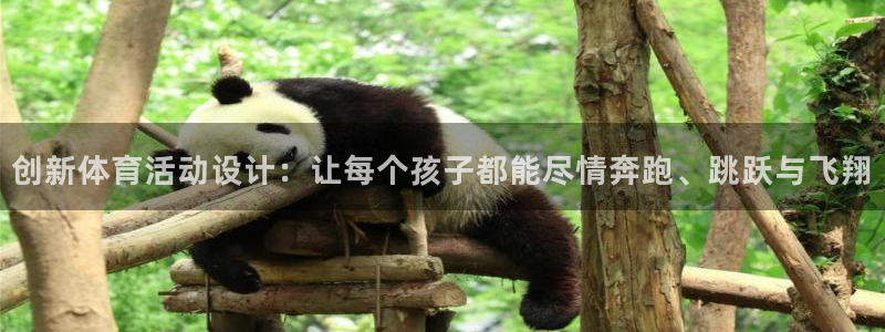 球王会体育：创新体育活动设计：让每个孩子都能尽情奔跑、跳跃与飞翔