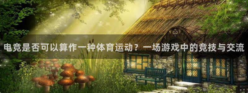 球王会体育：电竞是否可以算作一种体育运动？一场游戏中的竞技与交流