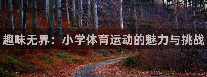 球王会体育：趣味无界：小学体育运动的魅力与挑战