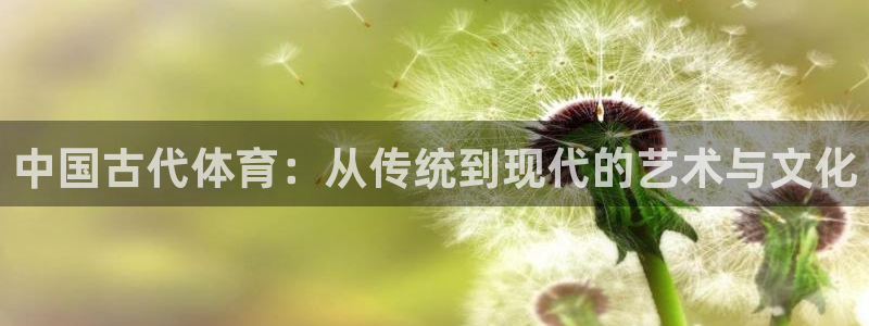 球王会体育：中国古代体育：从传统到现代的艺术与文化