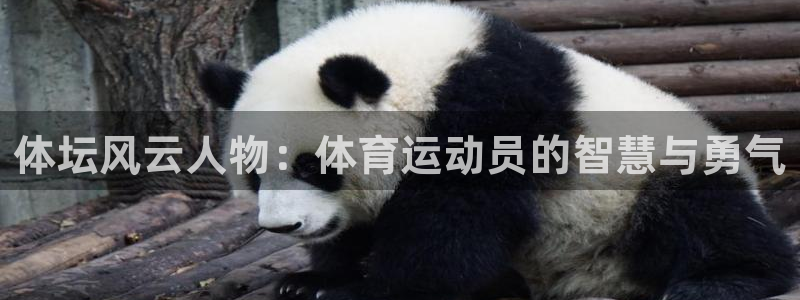 球王会体育：体坛风云人物：体育运动员的智慧与勇气