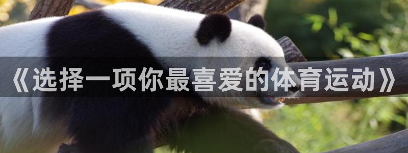 球王会体育：《选择一项你最喜爱的体育运动》