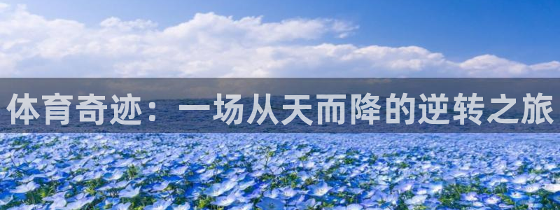 球王会体育：体育奇迹：一场从天而降的逆转之旅