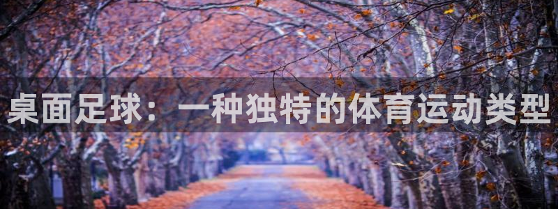 球王会体育：桌面足球：一种独特的体育运动类型