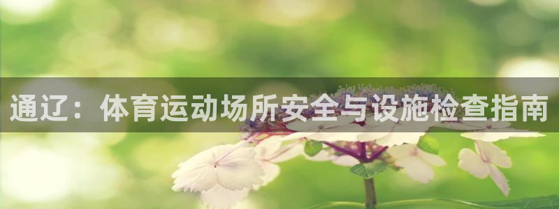 球王会体育：通辽：体育运动场所安全与设施检查指南