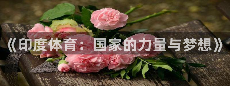 球王会体育：《印度体育：国家的力量与梦想》