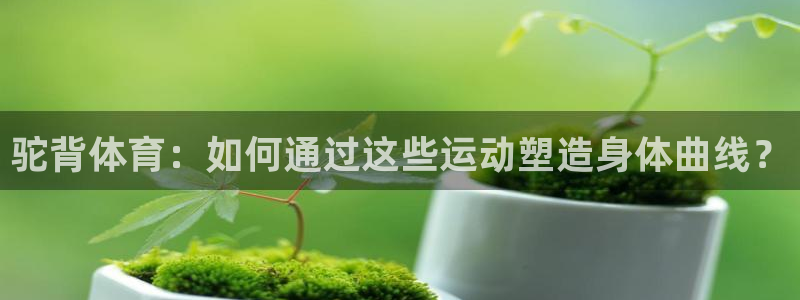 球王会体育：驼背体育：如何通过这些运动塑造身体曲线？